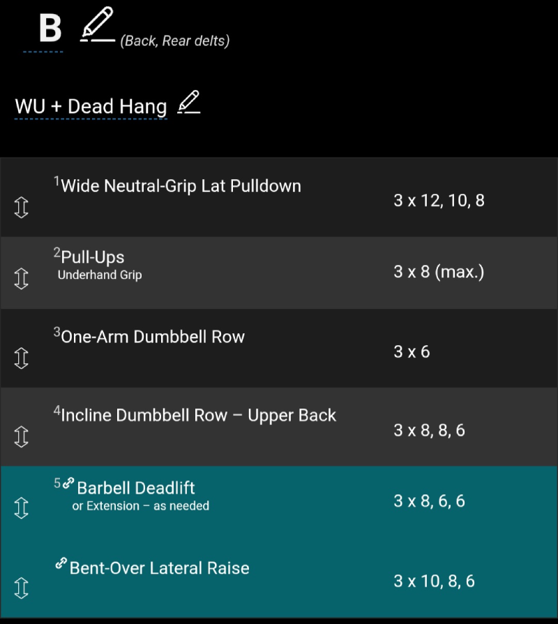 Detail of a workout plan in the Training Diary (TD) app with planned exercises, sets, and repetitions.